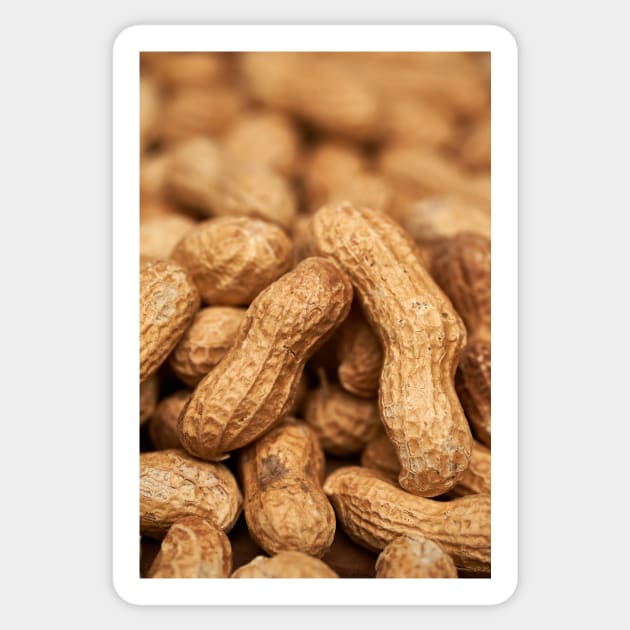 pile,peanuts,whole,board,nutty,bunch,macro,closeup,nut,fruits,ingredient,healthy,food,organic,diet,vegetarian,tasty,nuts,nutrition,brown,natural,snack,fresh,nature,dry,raw,seed Sticker by naturalis